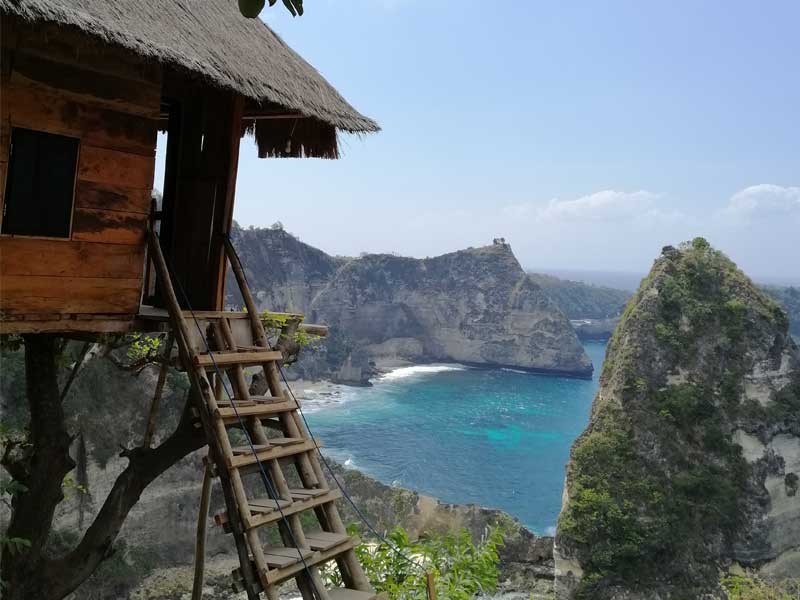 Tree House Nusa Penida